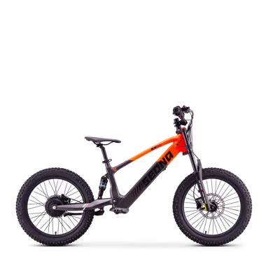 Draisienne électrique sedna sx 20"