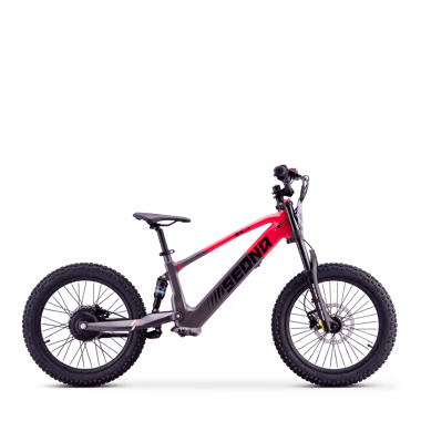 Draisienne électrique sedna sx 20"