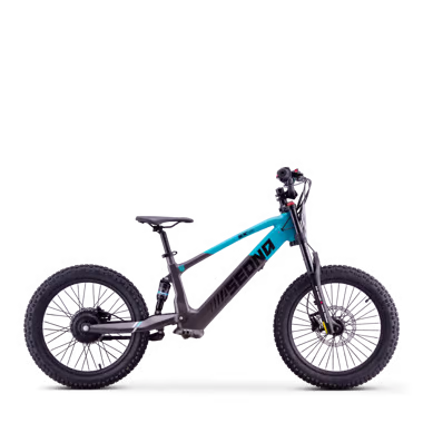 Draisienne électrique sedna sx 20"