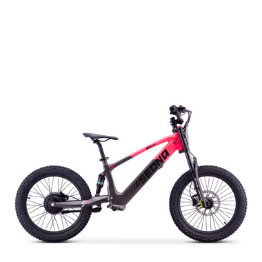 Draisienne électrique sedna sx 20"