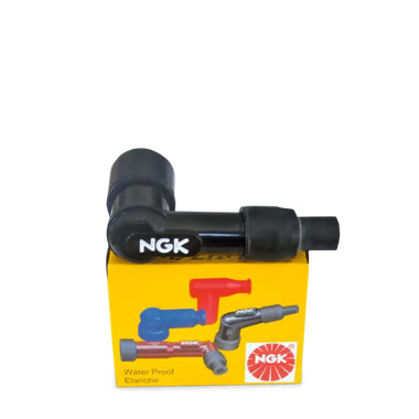 ANTI PARASITE NGK LB05E